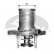 Thermostat d'eau TH15289G1 Gates