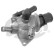 Thermostat d'eau TH17683G1 Gates