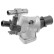 Thermostat d'eau TH21288G1 Gates, Vignette 2