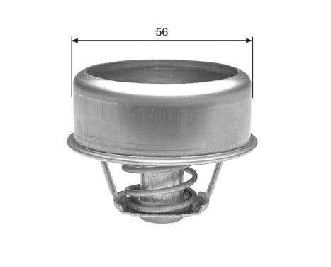 Thermostat d'eau TH22375 Gates
