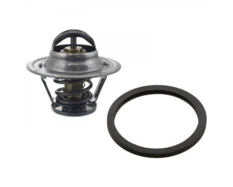 Thermostat d'eau TH22782G1 Gates