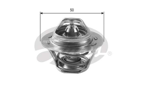 Thermostat d'eau TH23389G1 Gates