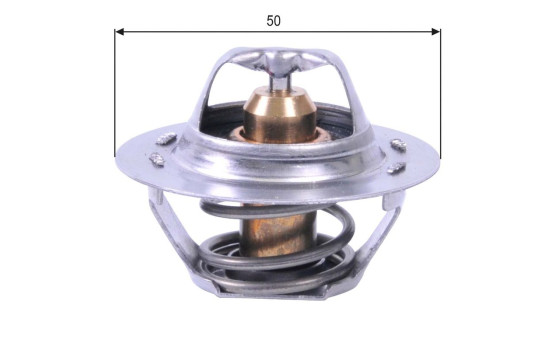 Thermostat d'eau TH23389G1 Gates, Image 2