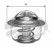 Thermostat d'eau TH23582G1 Gates