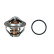 Thermostat d'eau TH23582G1 Gates, Vignette 2