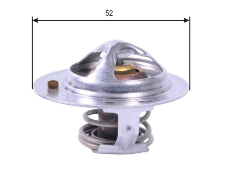 Thermostat d'eau TH24485G1 Gates, Image 2