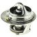 Thermostat d'eau TH24488G1 Gates