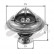 Thermostat d'eau TH24582G1 Gates