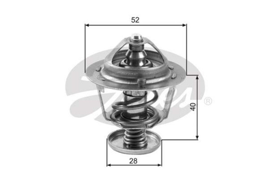 Thermostat d'eau TH24782G1 Gates