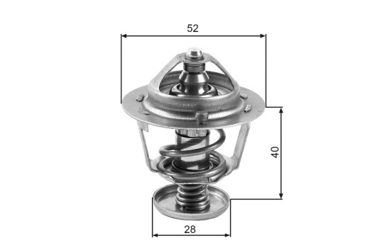 Thermostat d'eau TH24782G1 Gates, Image 2