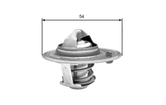 Thermostat d'eau TH25982G1 Gates, Image 2