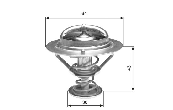 Thermostat d'eau TH27078G1 Gates, Image 2