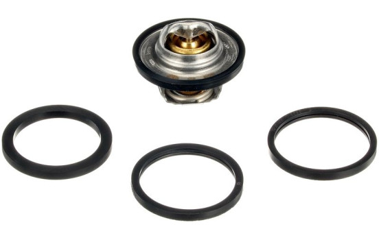 Thermostat d'eau TH28592G1 Gates, Image 2