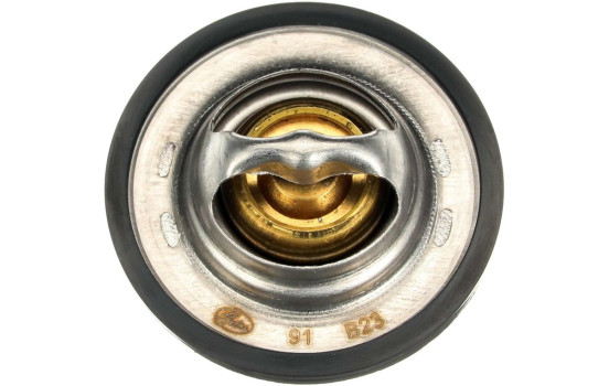Thermostat d'eau TH28592G1 Gates, Image 3