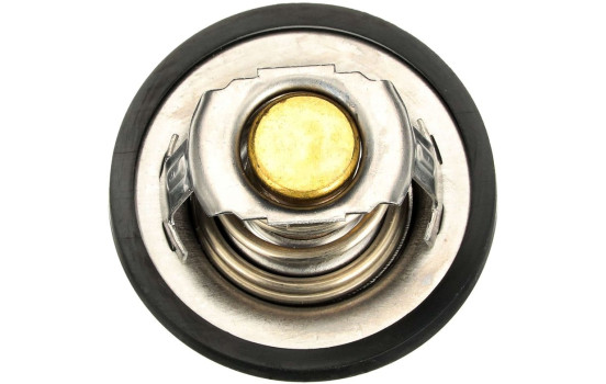 Thermostat d'eau TH28592G1 Gates, Image 4
