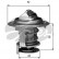 Thermostat d'eau TH29484G1 Gates