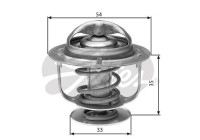 Thermostat d'eau TH29988G1 Gates