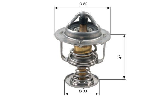 Thermostat d'eau TH30580G1 Gates, Image 2