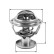 Thermostat d'eau TH32387G1 Gates