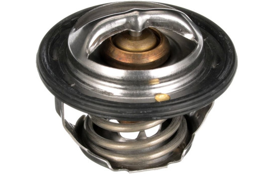 Thermostat d'eau TH32478G1 Gates, Image 2