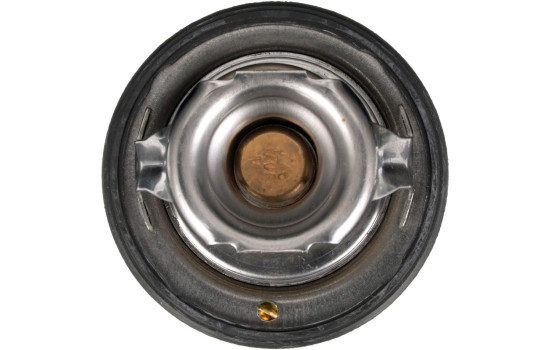 Thermostat d'eau TH32478G1 Gates, Image 4