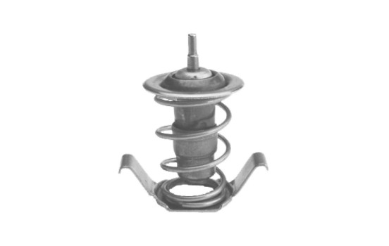 Thermostat d'eau TH34787 Gates, Image 2