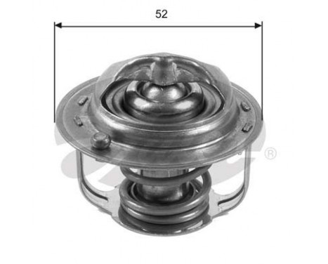 Thermostat d'eau TH35682G1 Gates