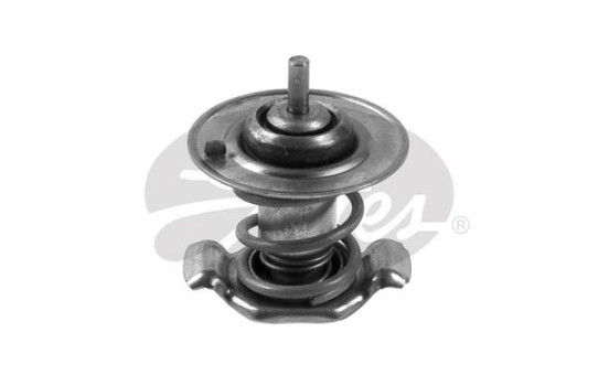 Thermostat d'eau TH35991 Gates, Image 2