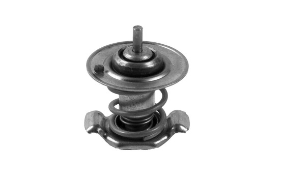 Thermostat d'eau TH35991 Gates