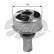 Thermostat d'eau TH36075 Gates