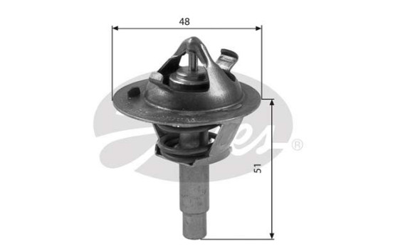 Thermostat d'eau TH38490G1 Gates