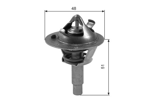 Thermostat d'eau TH38490G1 Gates, Image 2