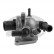 Thermostat d'eau TH38588G1 Gates
