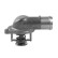 Thermostat d'eau TH38787G1 Gates, Vignette 2