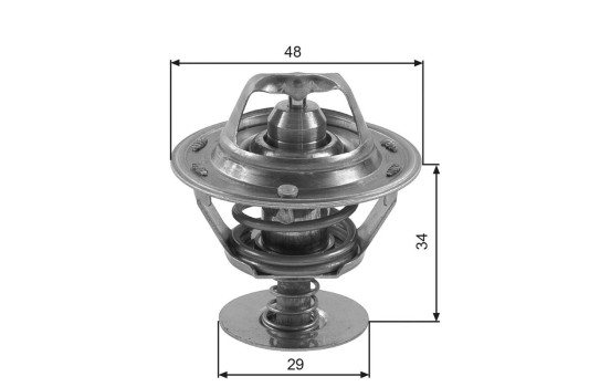 Thermostat d'eau TH39082G1 Gates, Image 2
