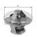 Thermostat d'eau TH39374G1 Gates