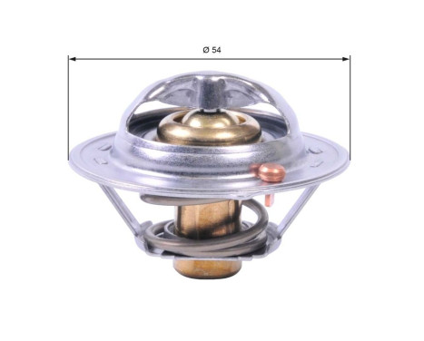 Thermostat d'eau TH41782G1 Gates
