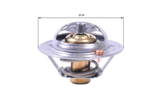 Thermostat d'eau TH41782G1 Gates