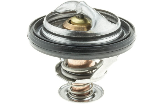 Thermostat d'eau TH44390G1 Gates