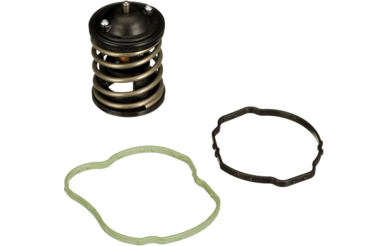 Thermostat d'eau TH47487G1 Gates