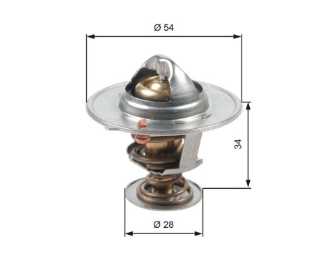 Thermostat d'eau TH47685G1 Gates