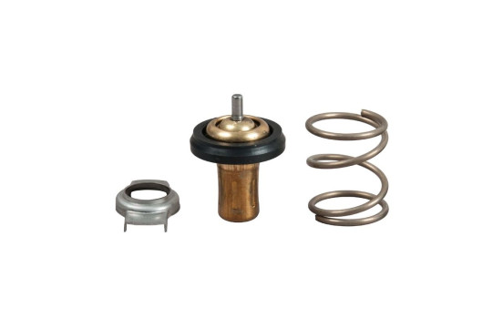 Thermostat d'eau TH49288G1 Gates