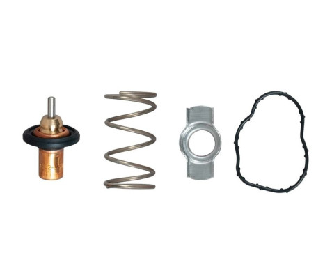 Thermostat d'eau TH51883G1 Gates