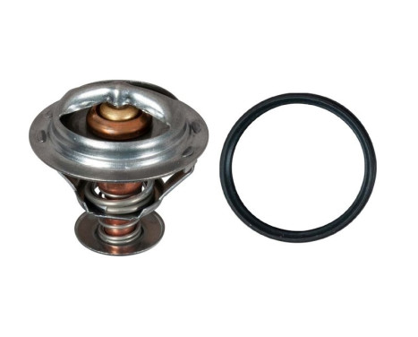 Thermostat d'eau TH58392G1 Gates