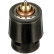 Thermostat d'eau TH598105 Gates