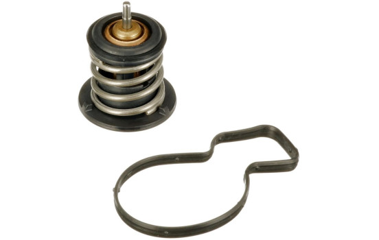 Thermostat d'eau TH60380G1 Gates