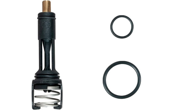 Thermostat d'eau TH606113G1 Gates