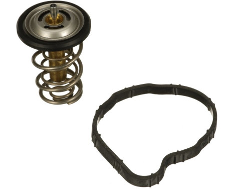 Thermostat d'eau TH62884G1 Gates