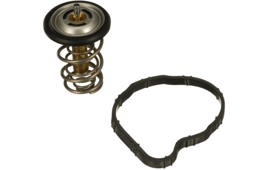 Thermostat d'eau TH62884G1 Gates
