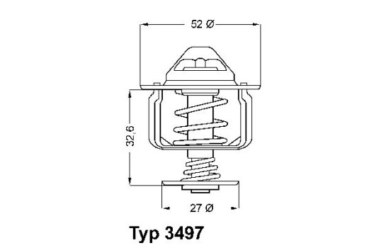 Thermostat d'eau
